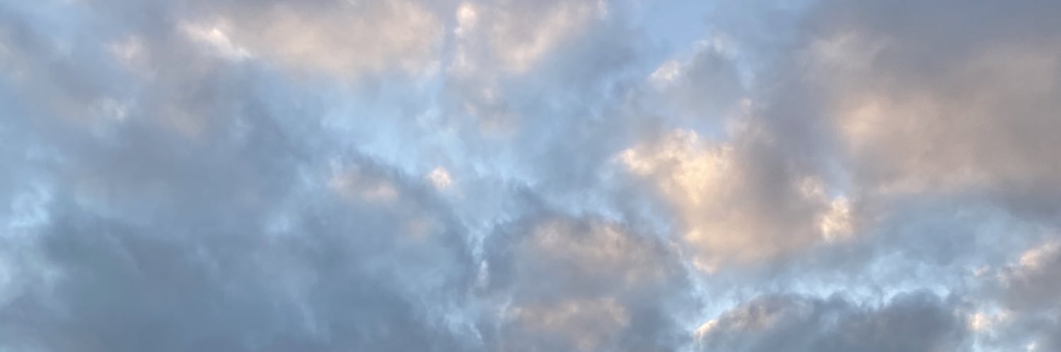 a_mischief_'s profile banner image