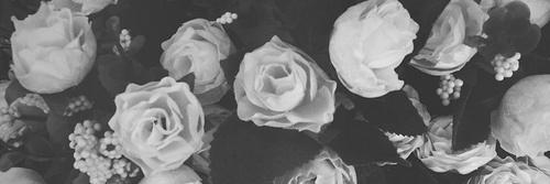 GojusMalor's profile banner image