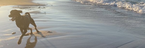 CHIEFsheeb Profile Banner