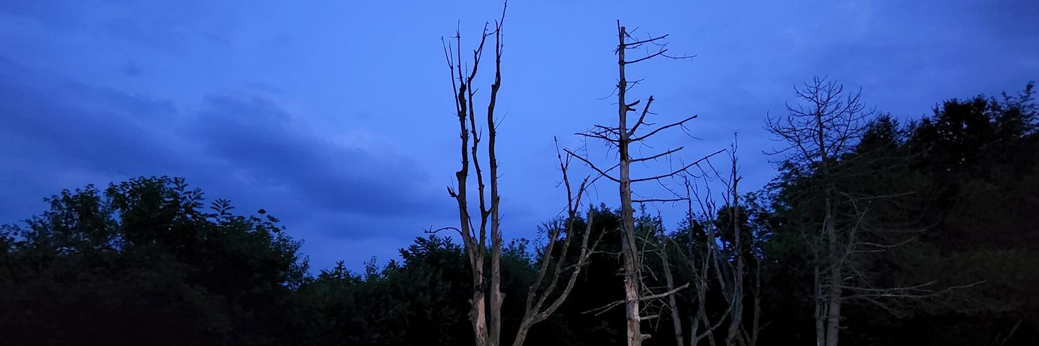 jkcameron79's profile banner image
