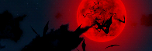 berittartu's profile banner image