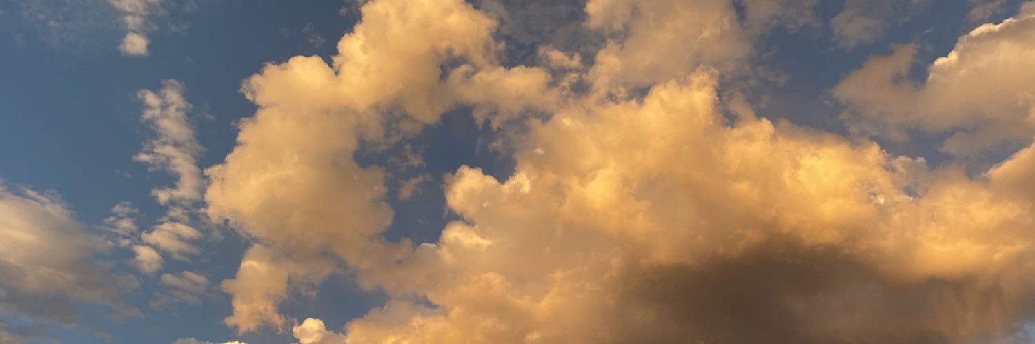 delululexx's profile banner image