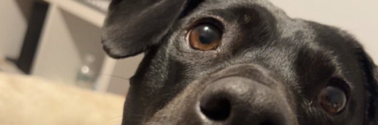 bfaulkner14's profile banner image