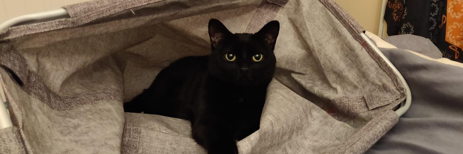 Canada | The Hacker who rolls | Black Lives Matter banner