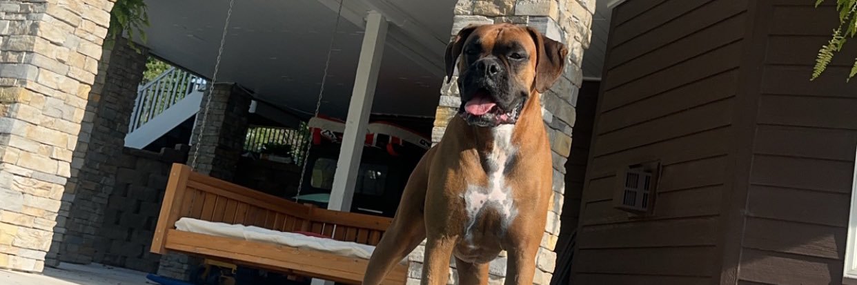 livglock's profile banner image