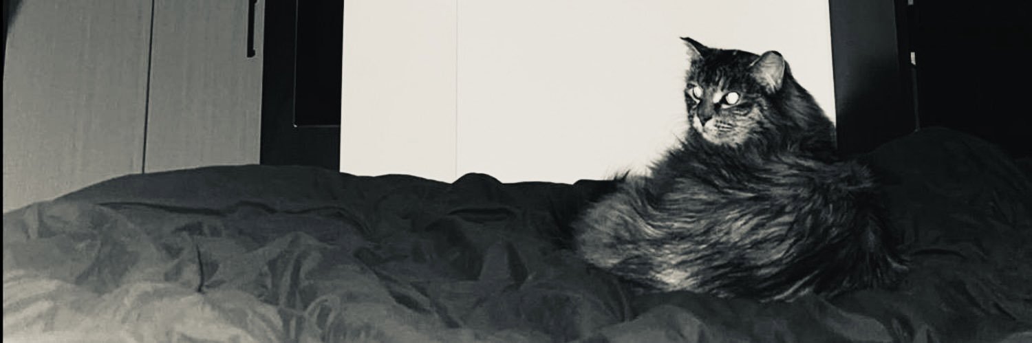 dakota🥥🌴 banner