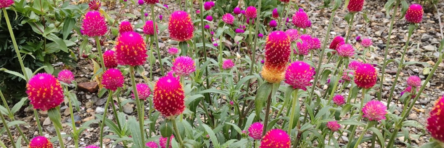 daichan_aichi's profile banner image