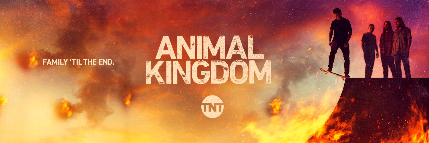Animal Kingdom banner