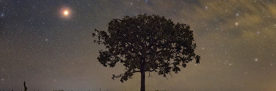 saraconley98's profile banner image