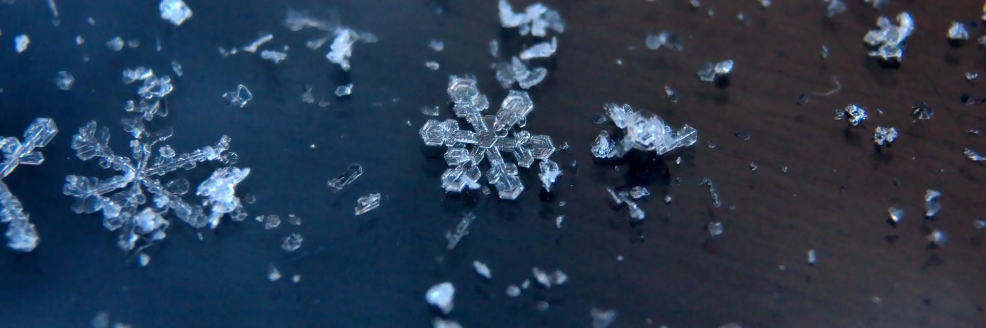 Polar Meteorology banner