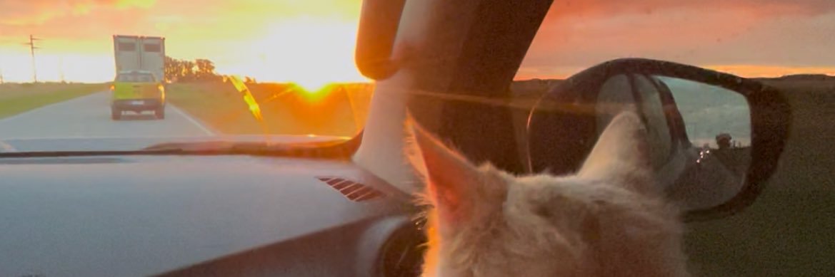 remiserotrucho's profile banner image