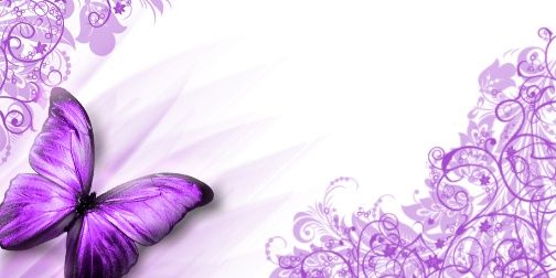 Ferocity2011's profile banner image