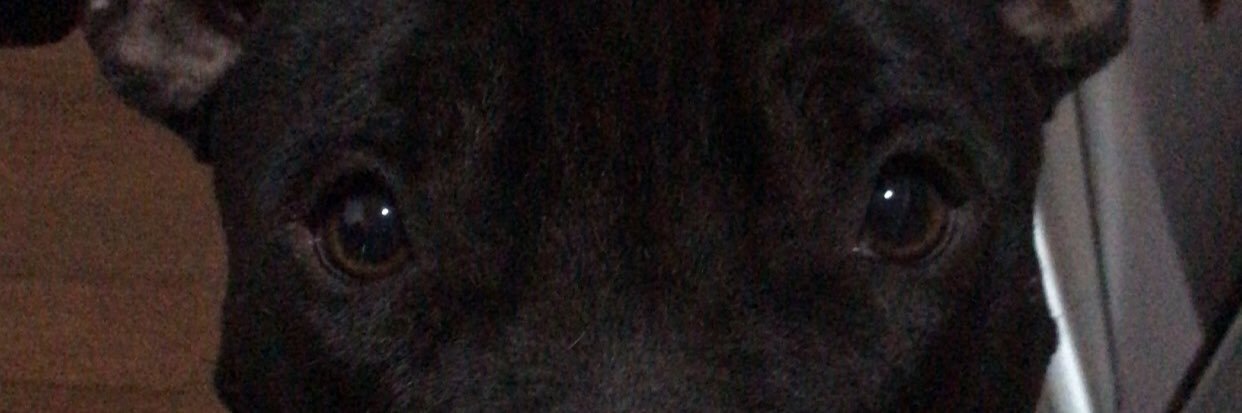 olmosanni's profile banner image