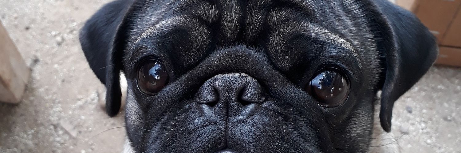 Jetzabeldg's profile banner image