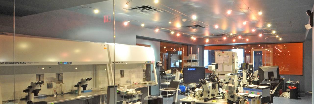 CNY Fertility Lab banner