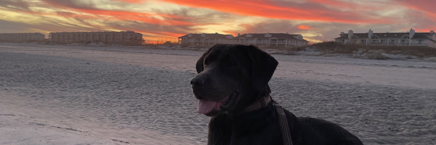 AzbellBrittney's profile banner image