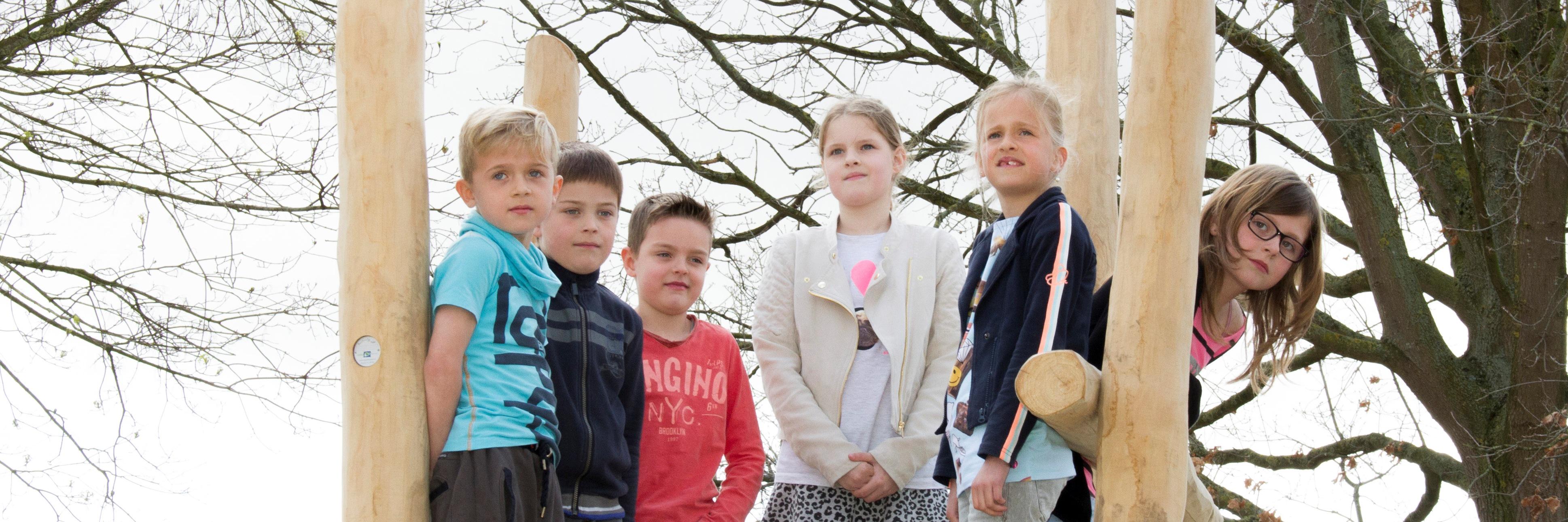 Wizz Scholing banner