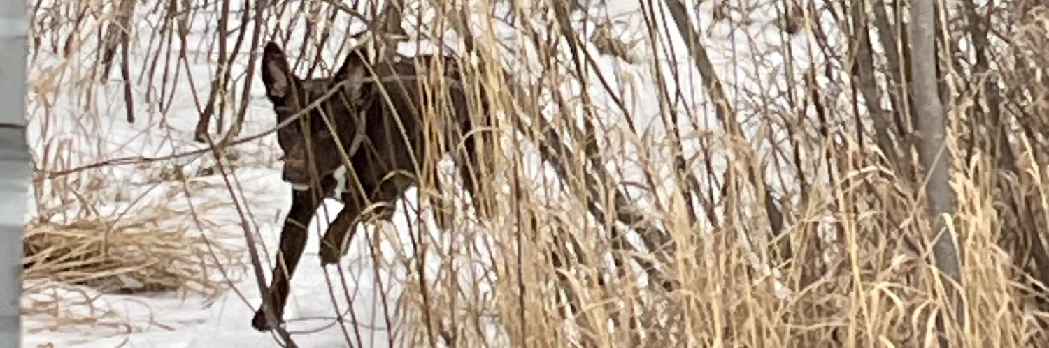 garetporter's profile banner image