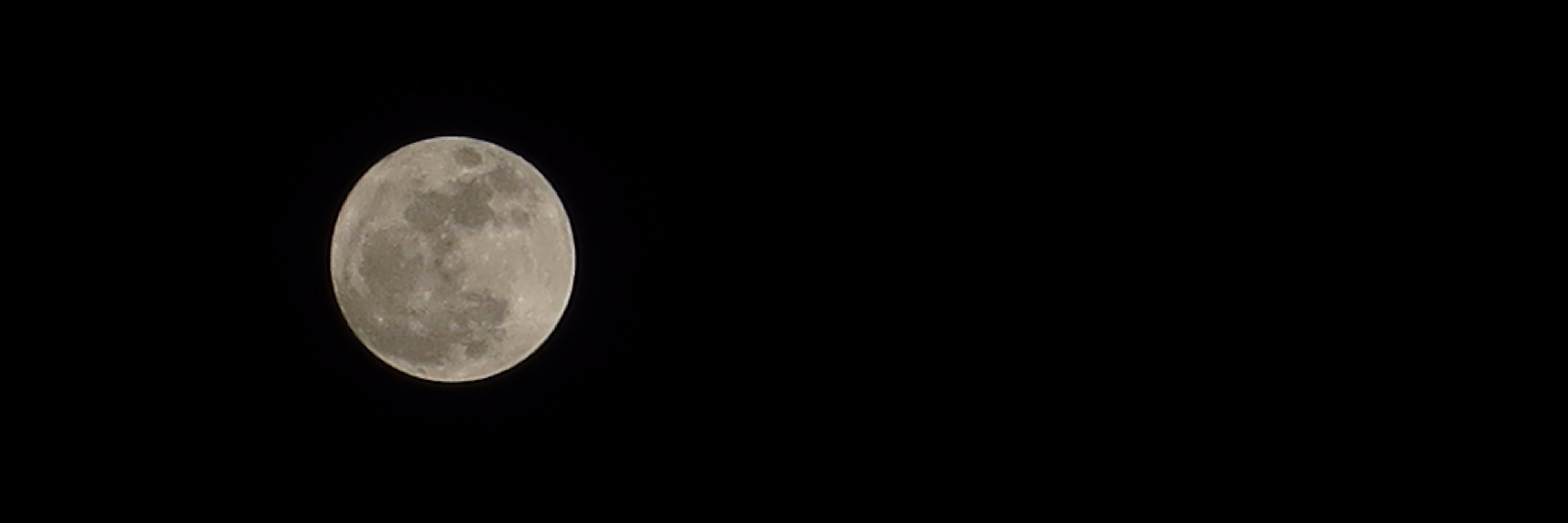 dionnnneeeee's profile banner image