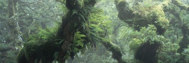 hatterhareceo's profile banner image