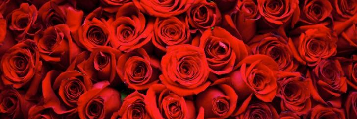 EliteMunsterBloggers banner