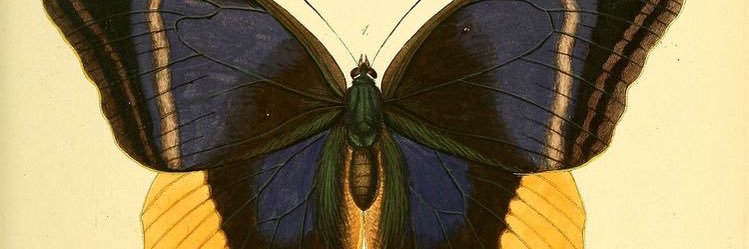 belemsizeta's profile banner image