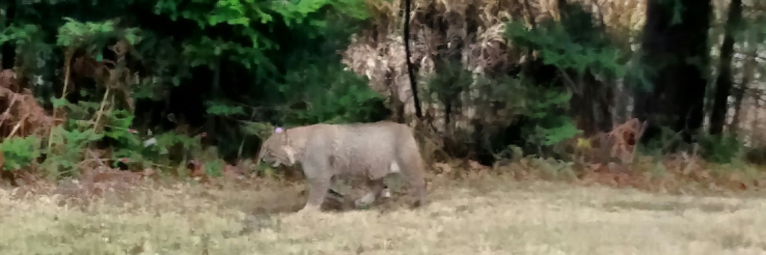 Frank Puffer Jr. banner