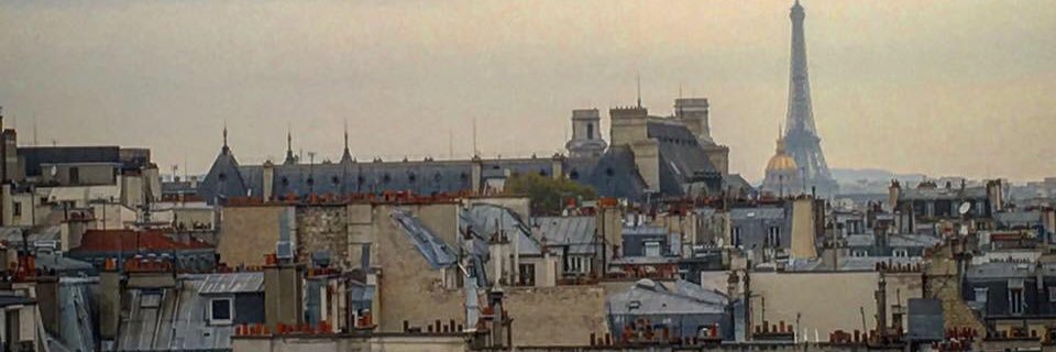 shelleylburrows's profile banner image
