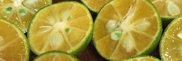 calamansimami's profile banner image