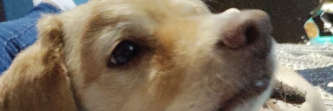isamar907's profile banner image
