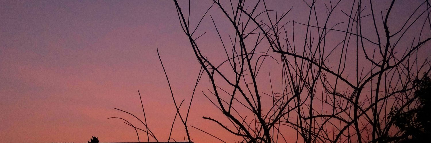 emimazza's profile banner image