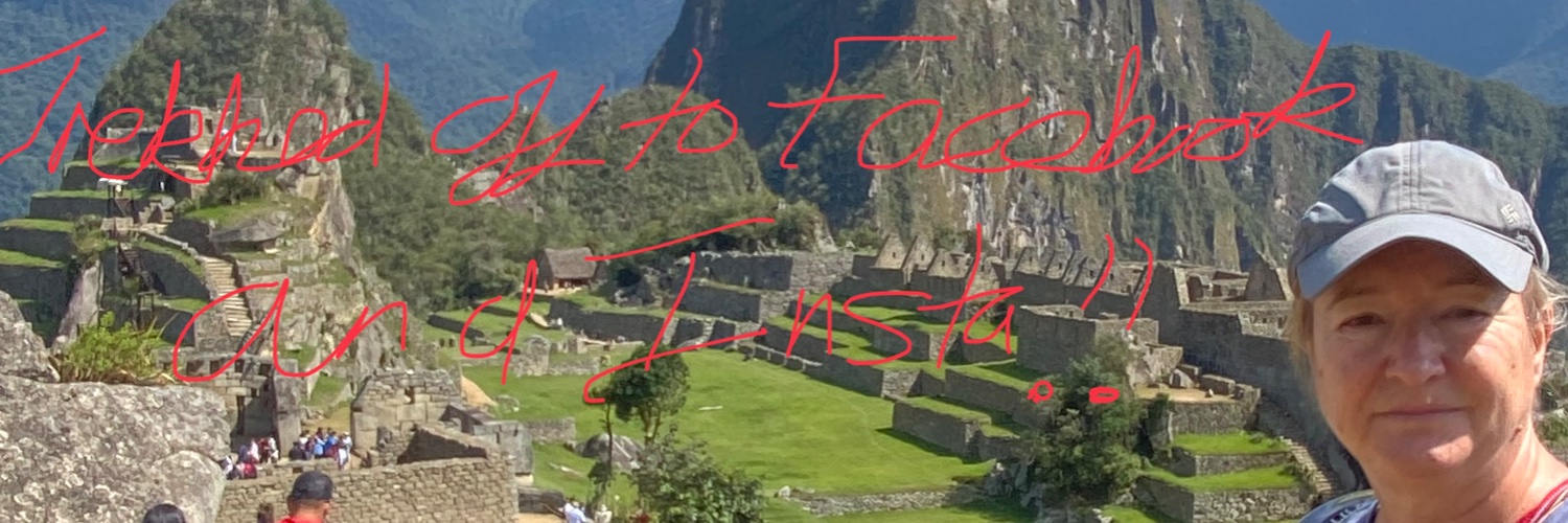 Helen Simonson banner