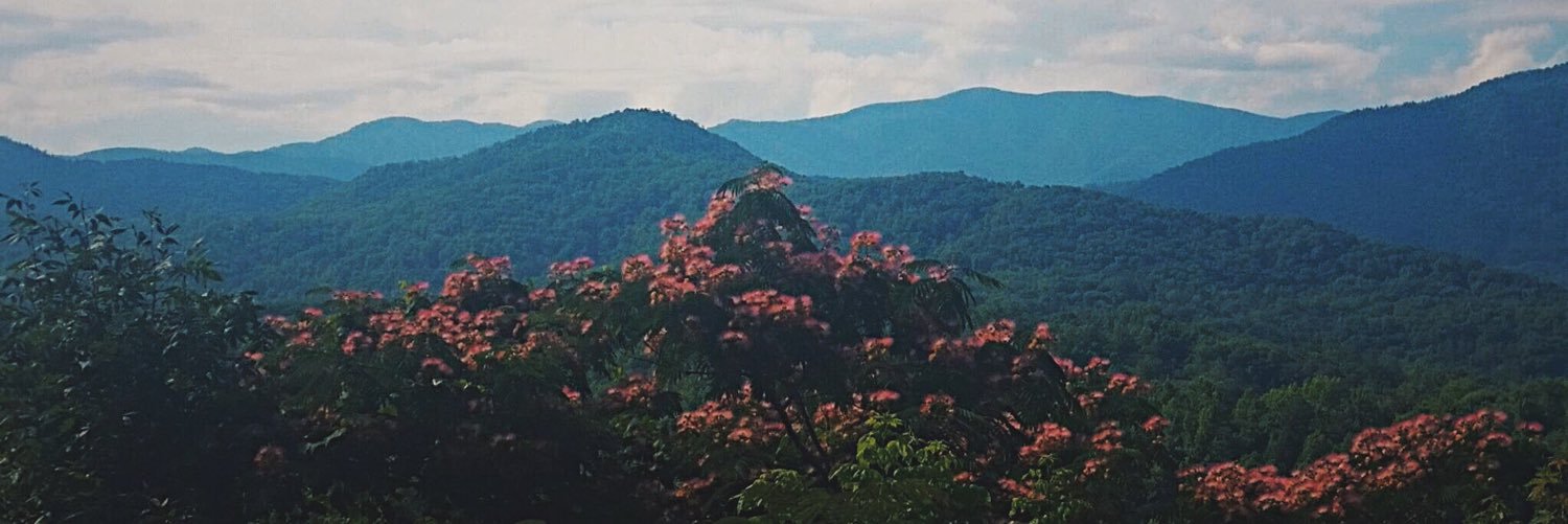 dekodataylor's profile banner image