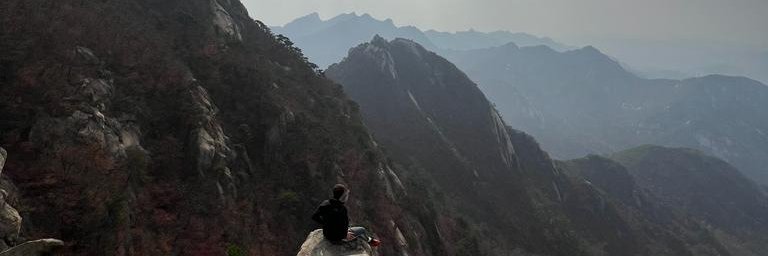 Javier Aldea Mas banner