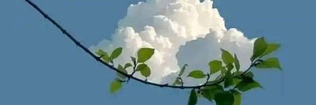 ramesh01_29's profile banner image