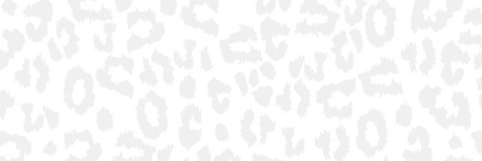 pycaism's profile banner image