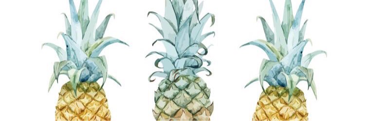 baylerrr's profile banner image
