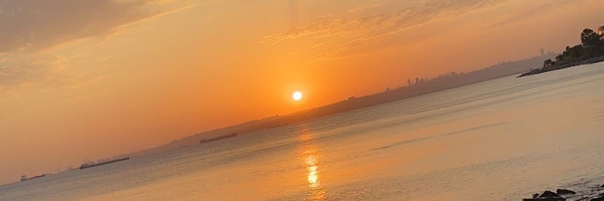ardidem55's profile banner image