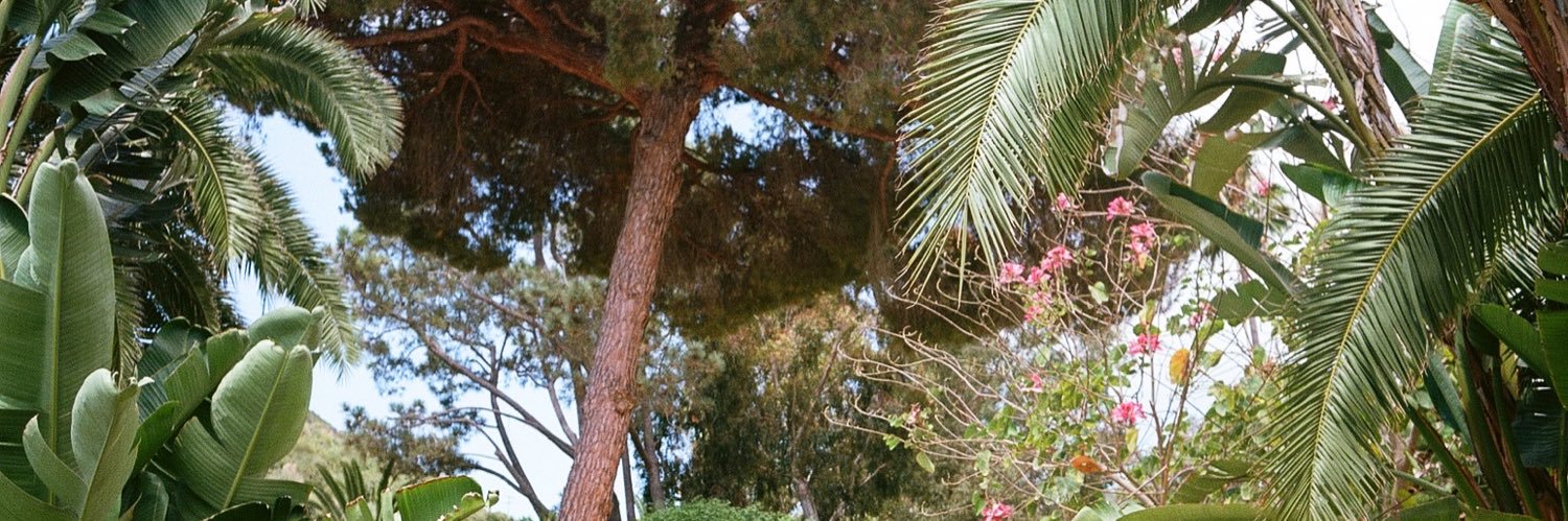 nickstur_'s profile banner image