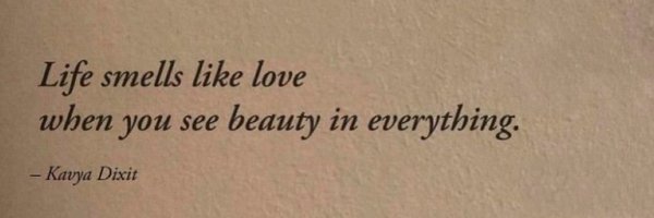 desewxo Profile Banner