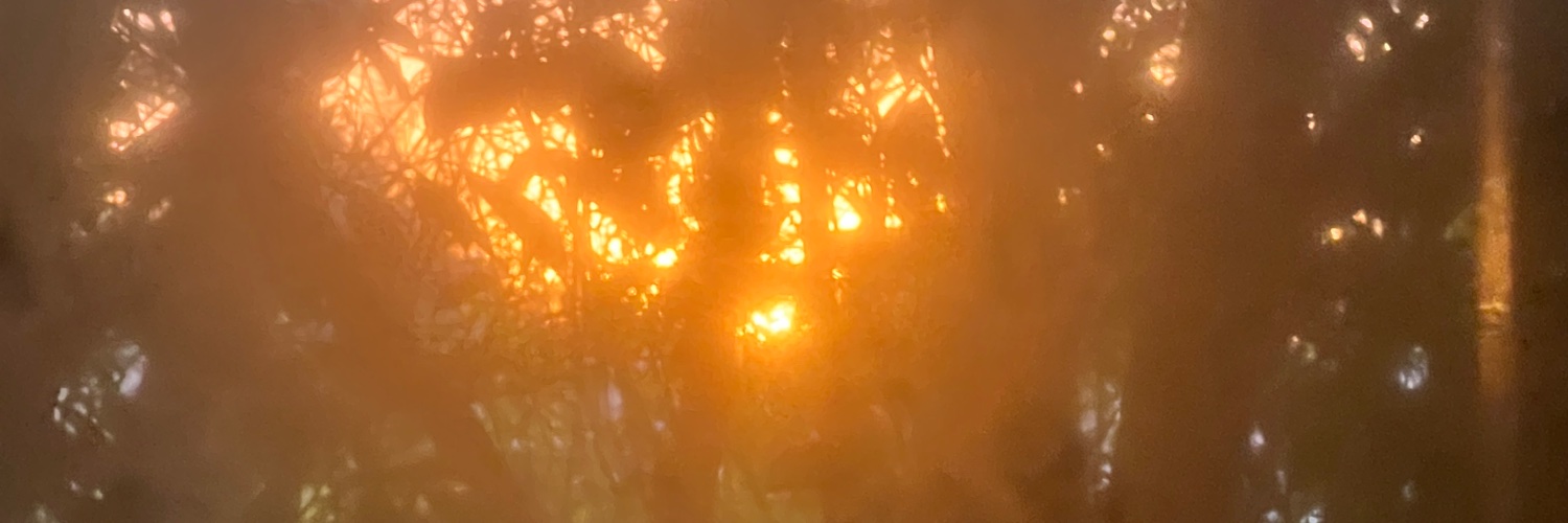 c75525's profile banner image