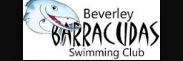 bevbarracudas's profile banner image