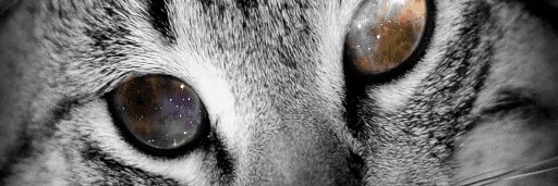 Lipskis's profile banner image