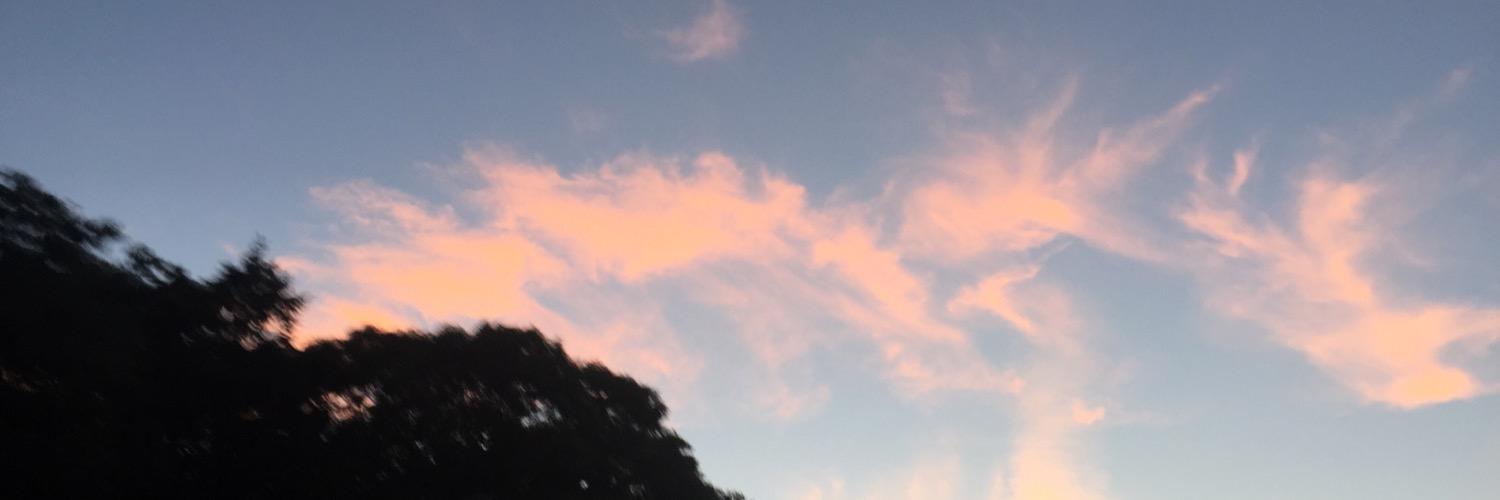 maripapzz's profile banner image