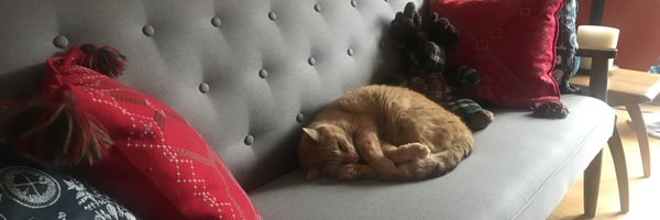 McClungColleen Profile Banner