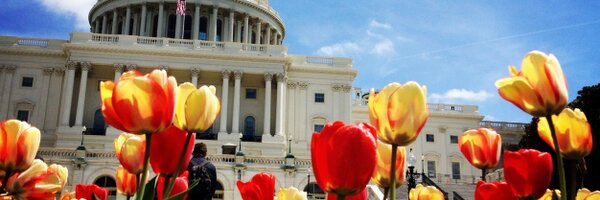 meggloce Profile Banner