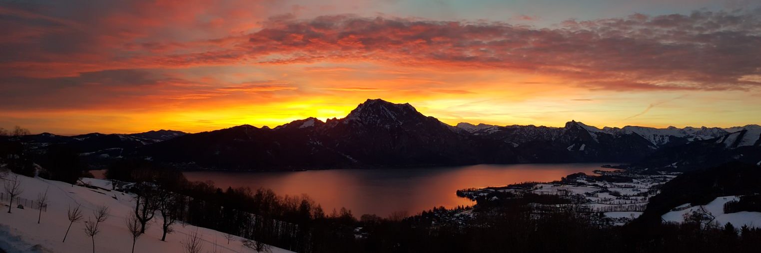 mouth wide shut banner