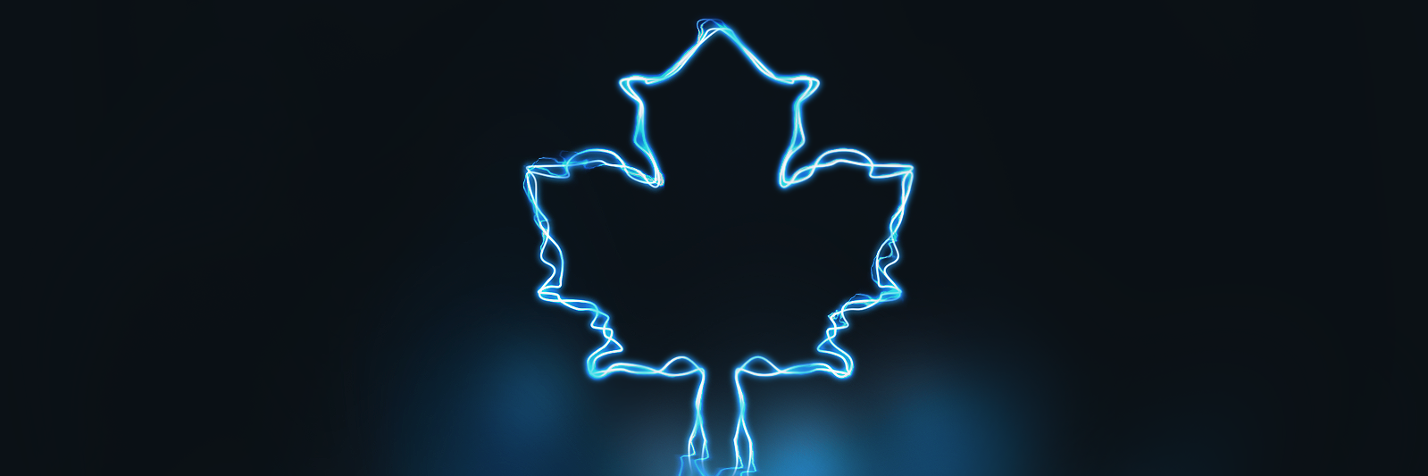 McMapleLeaf's profile banner image