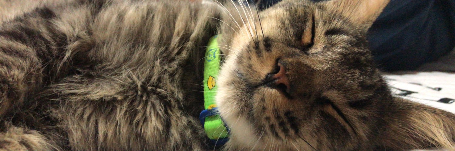 isabbbbbbela's profile banner image