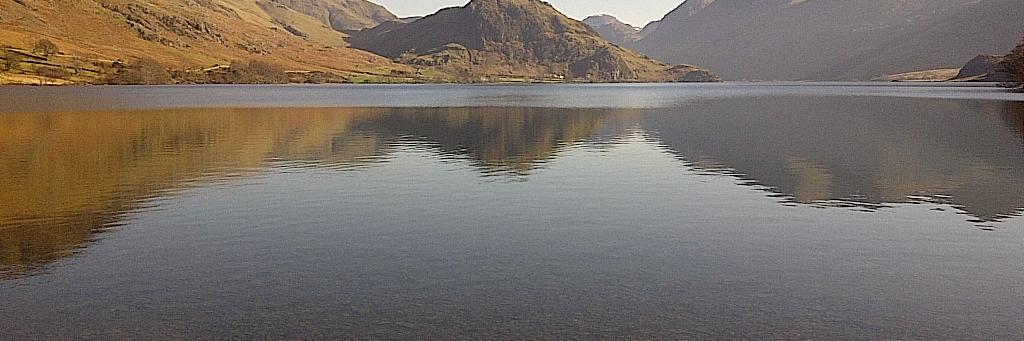 Wendy Crocker banner